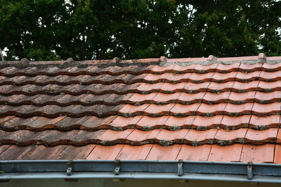 Scène extérieure stylisée montrant des drones de livraison autonomes transportant des colis vers un magasin miniature avec auvent rayé rouge et blanc